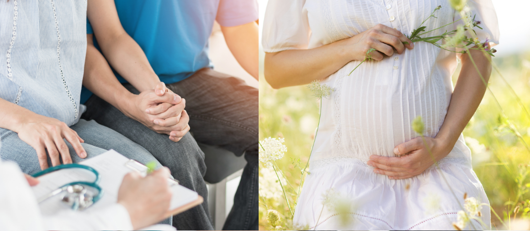 Sarah Clark BScTCM MBAcC MRCHM AFN